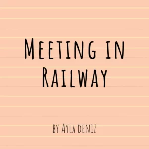 meeting in railway book